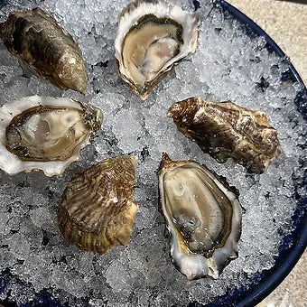 Oyster and Clam Sampler
